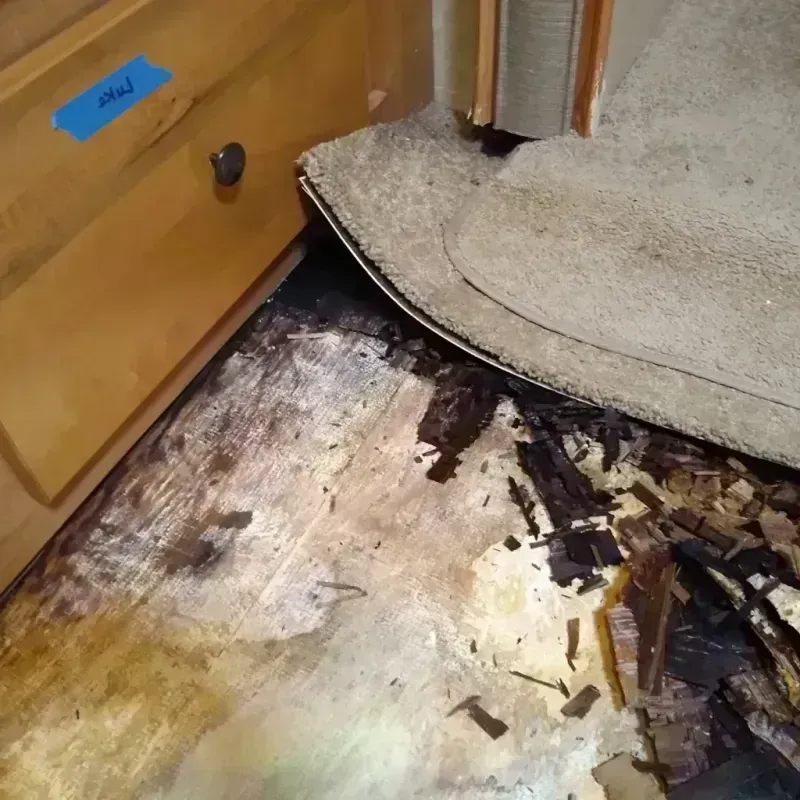 Wood Floor Water Damage in Mount Healthy, OH